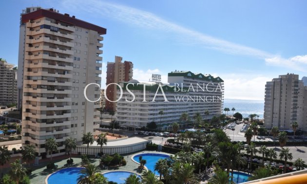 New Build - Apartment -
Calpe - La Calalga